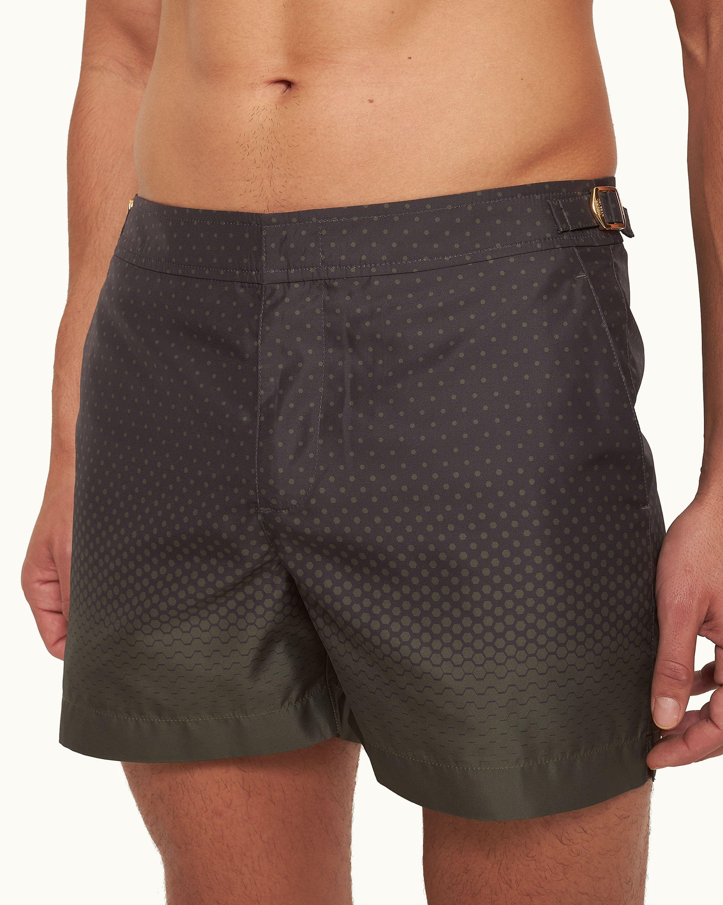 Setter - Image 5