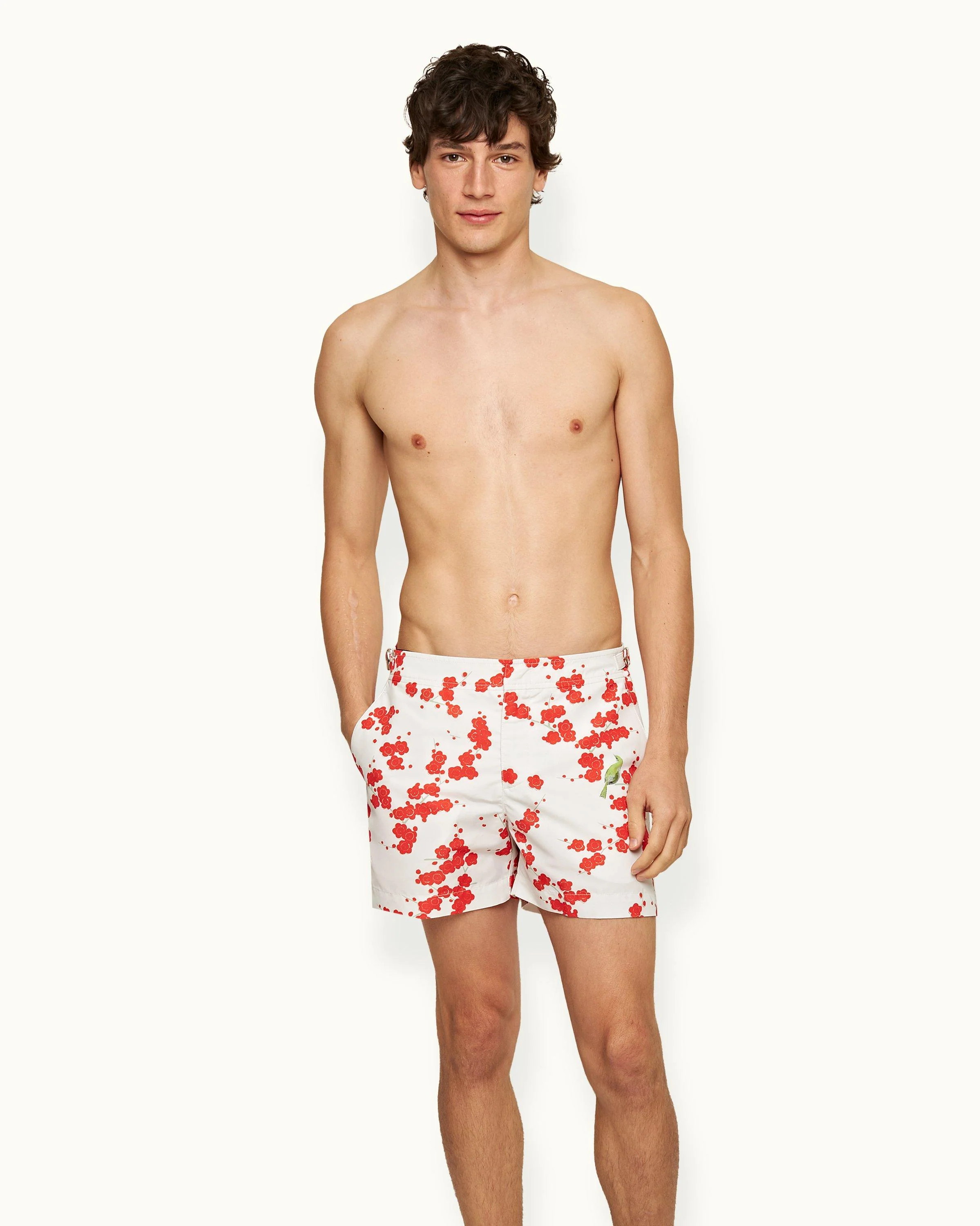Setter - Image 2