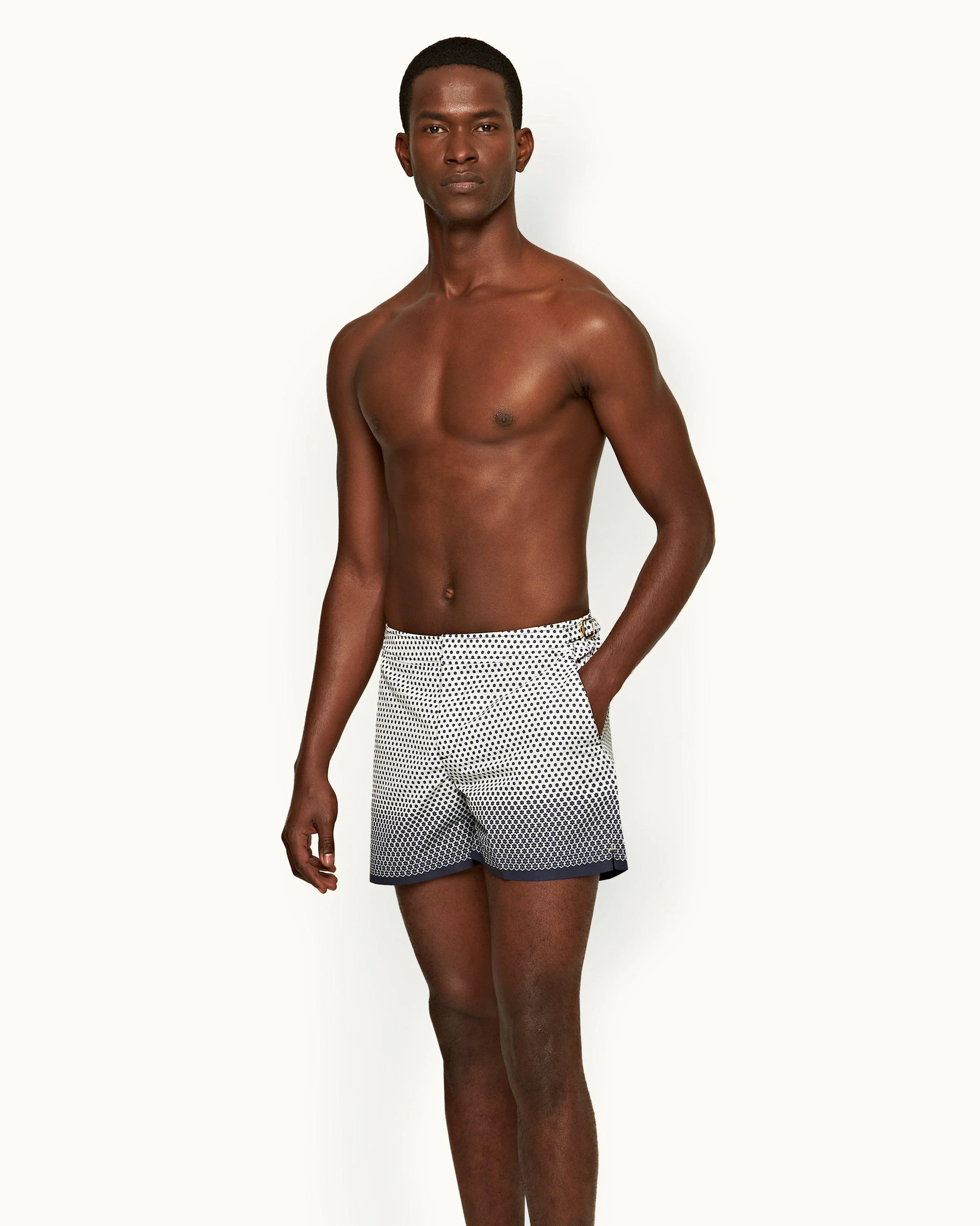 Setter - Image 3