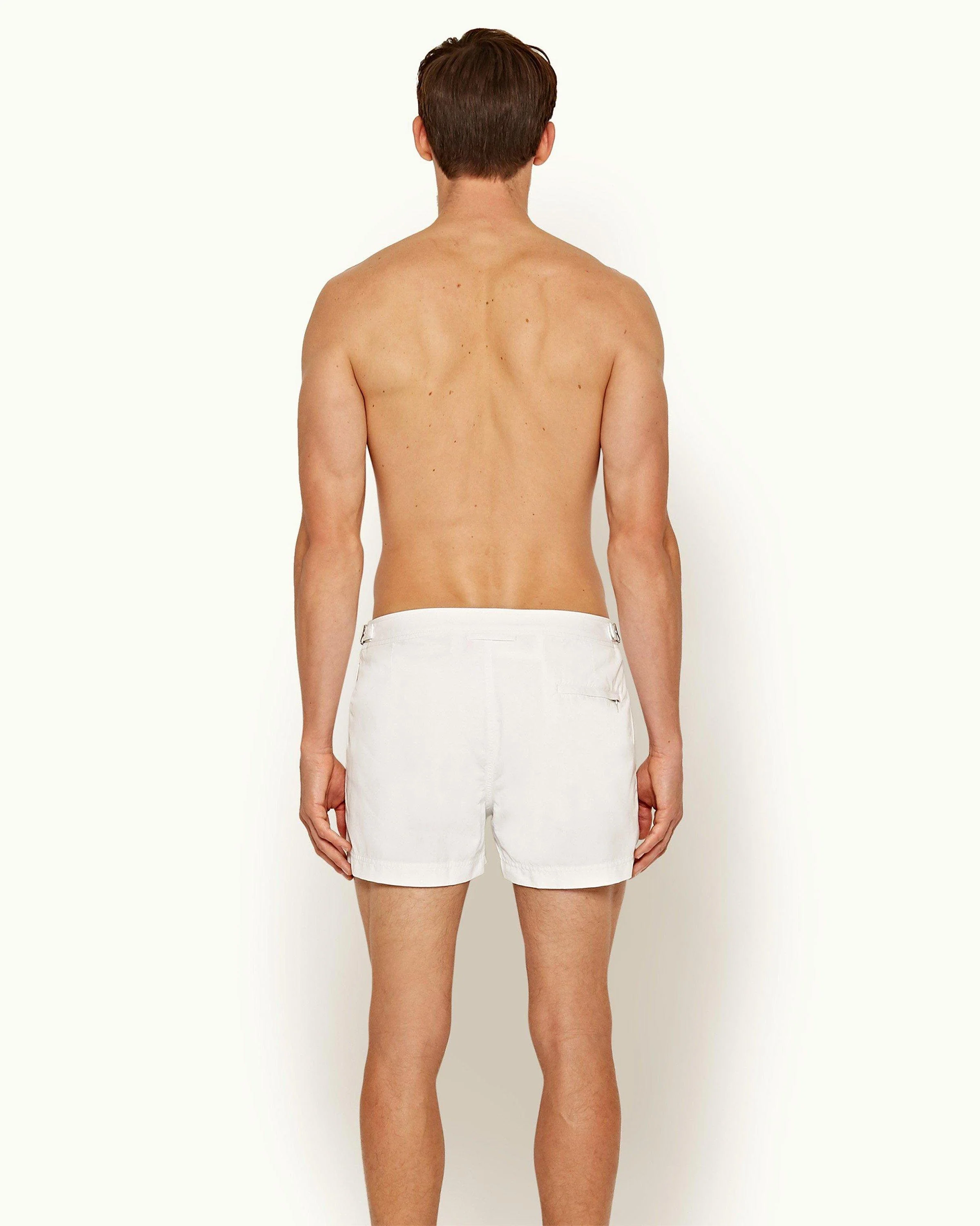 Springer - Image 3